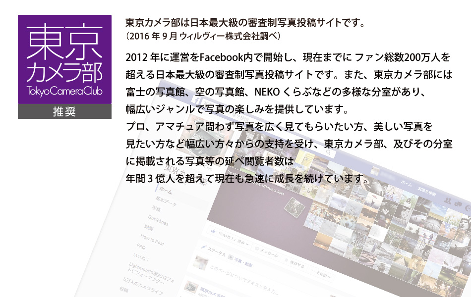デジタルカメラ用ガラスフィルム
