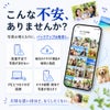 PhotoPower plus - こんな不安ありませんか？