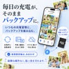 PhotoPower plus - 製品概要